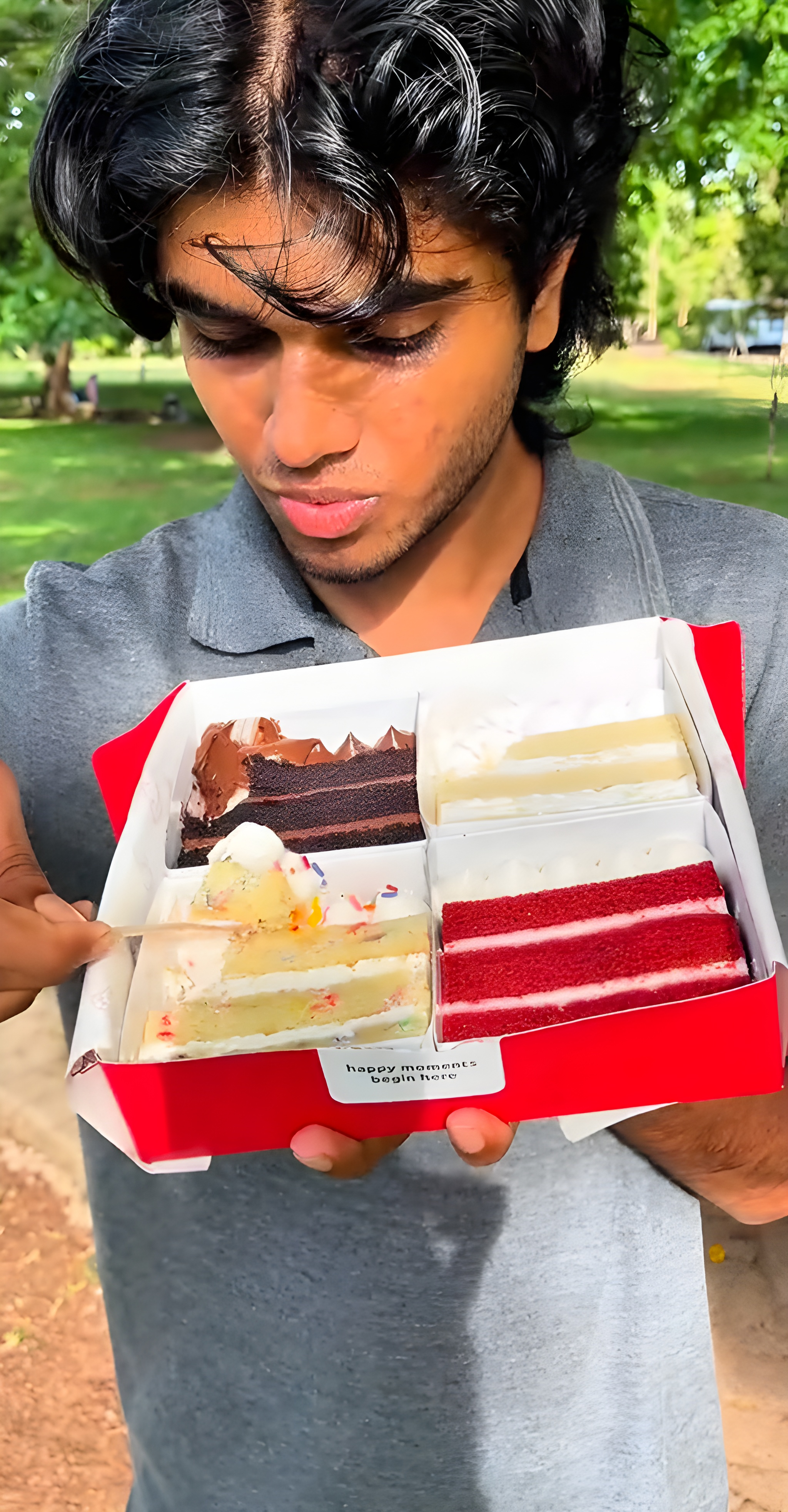 Premium Cake Variety Showcase – Coho Dessert Feature