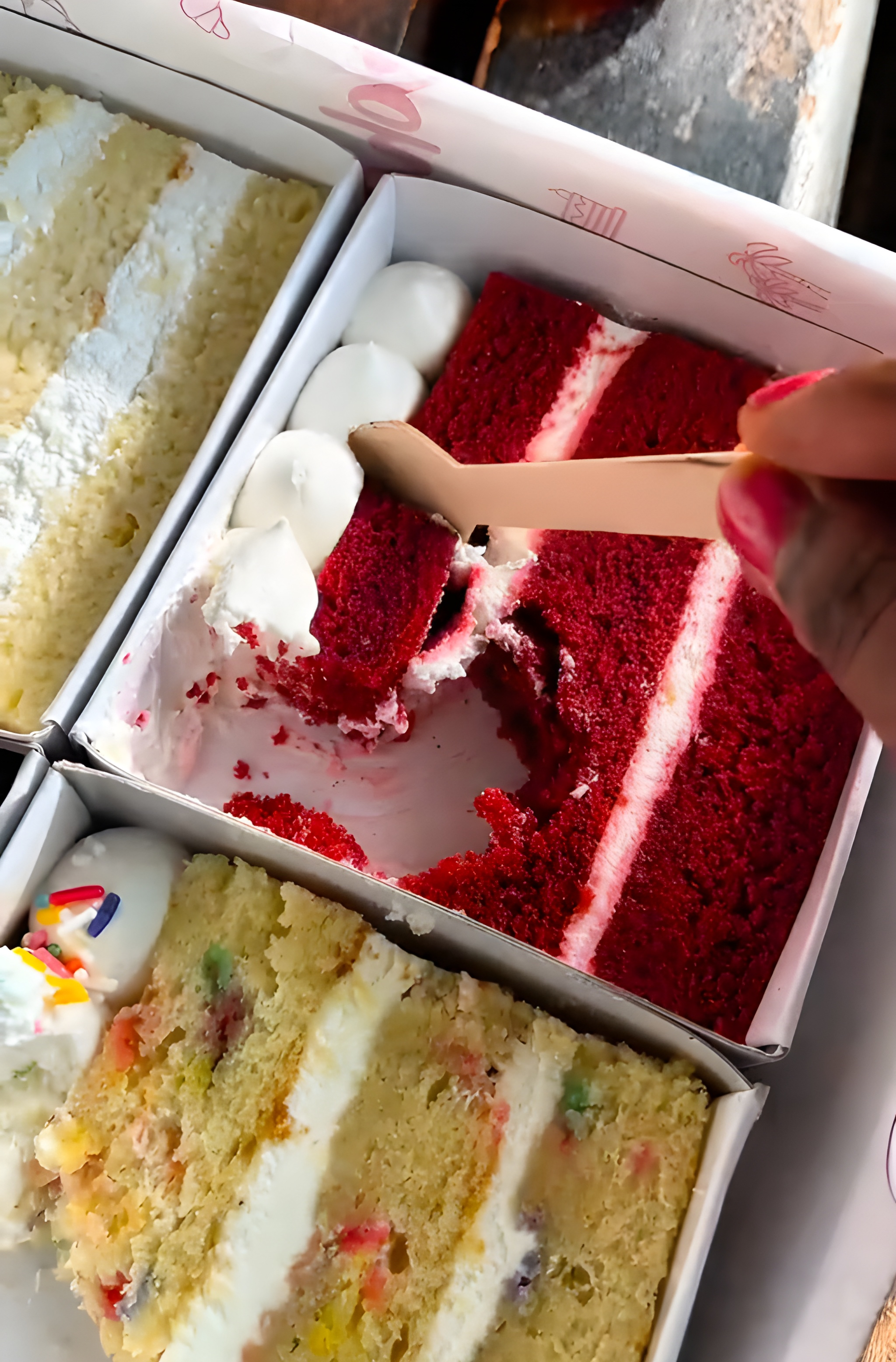 Premium Cake Variety Showcase – Coho Dessert Feature