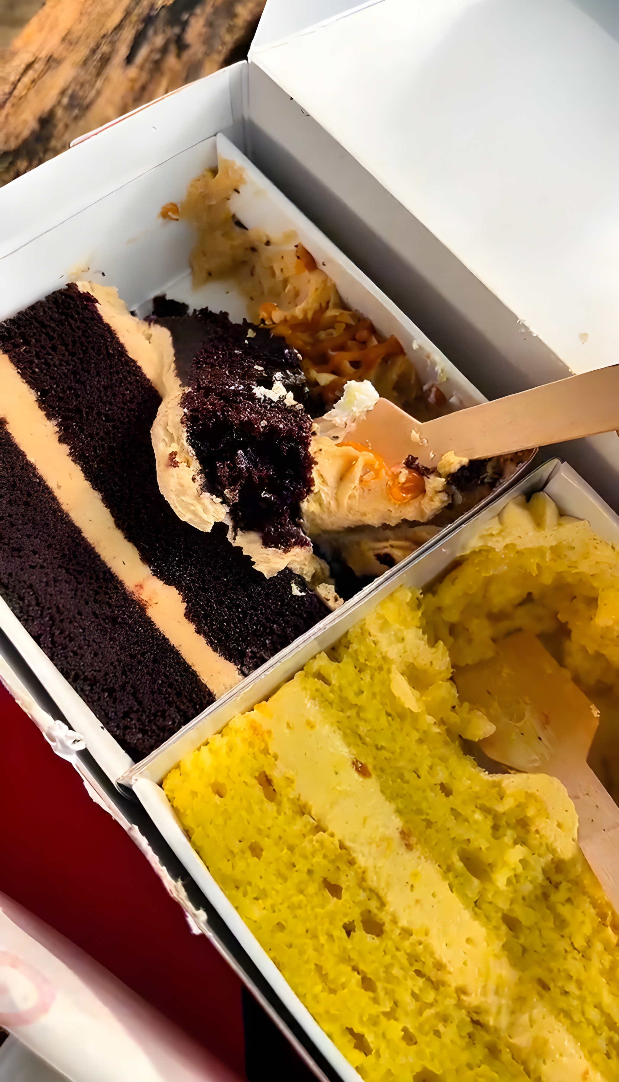 Premium Cake Variety Showcase – Coho Dessert Feature