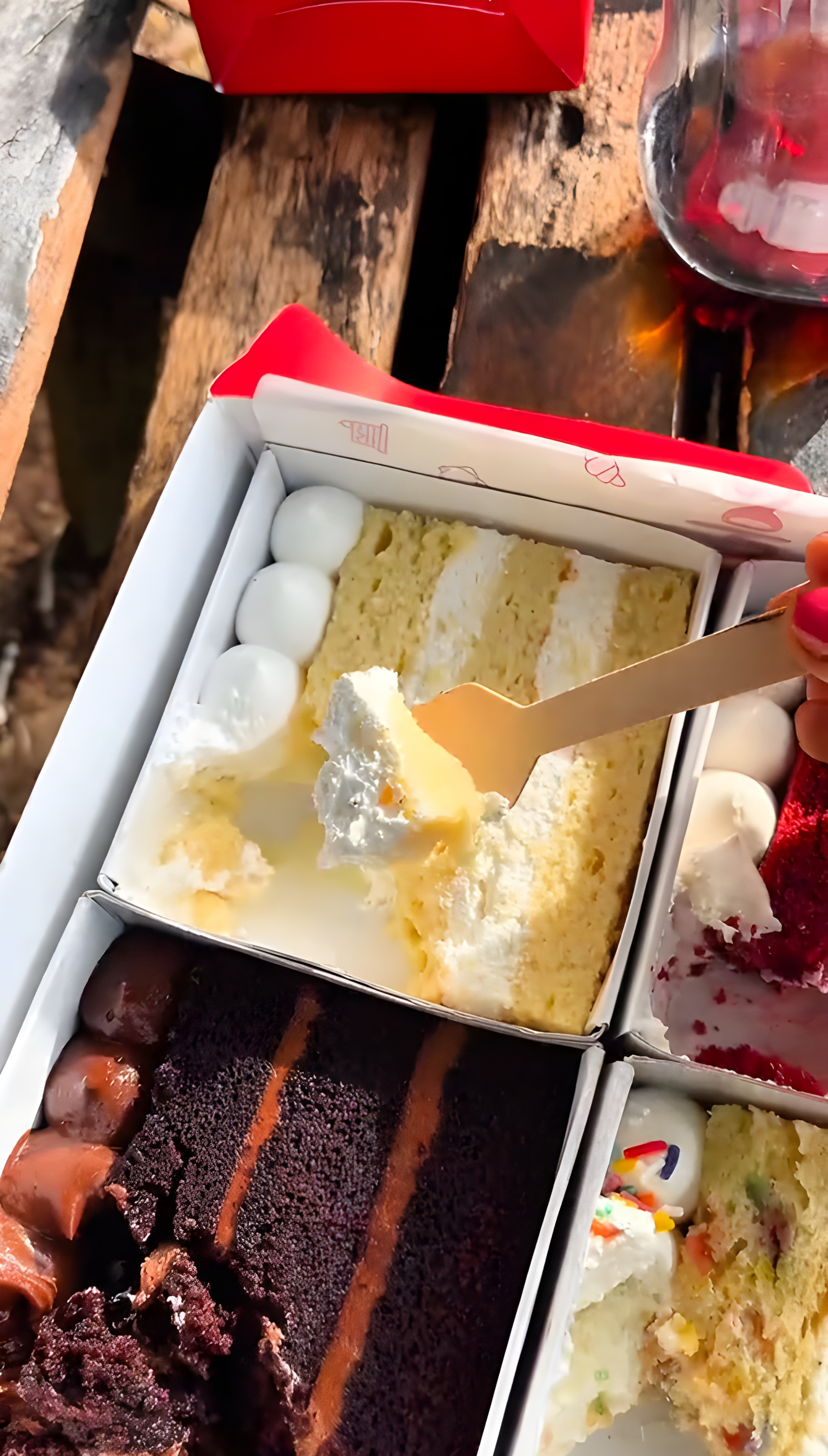 Premium Cake Variety Showcase – Coho Dessert Feature