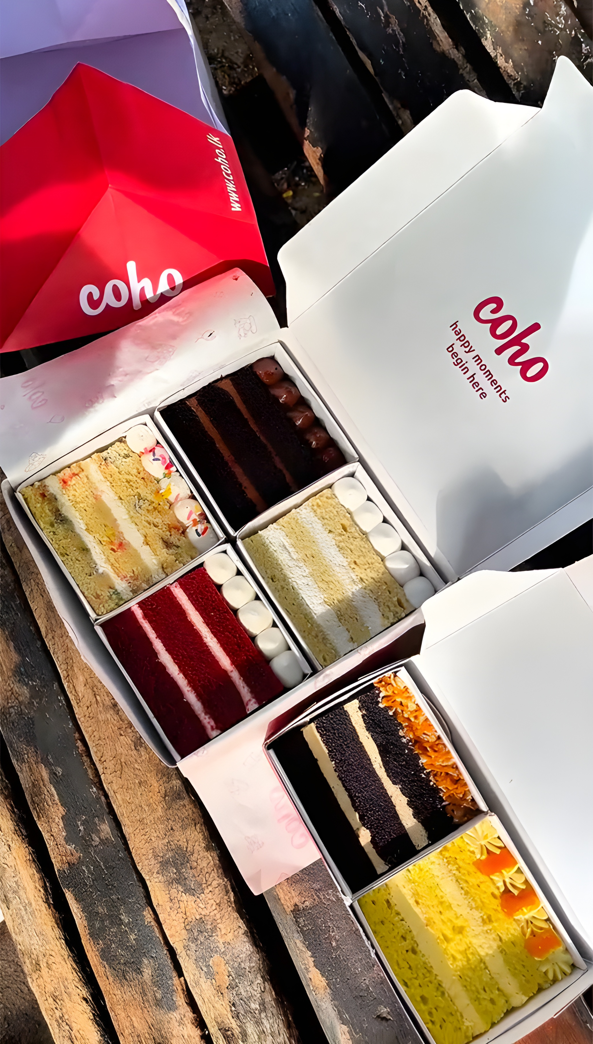 Premium Cake Variety Showcase – Coho Dessert Feature