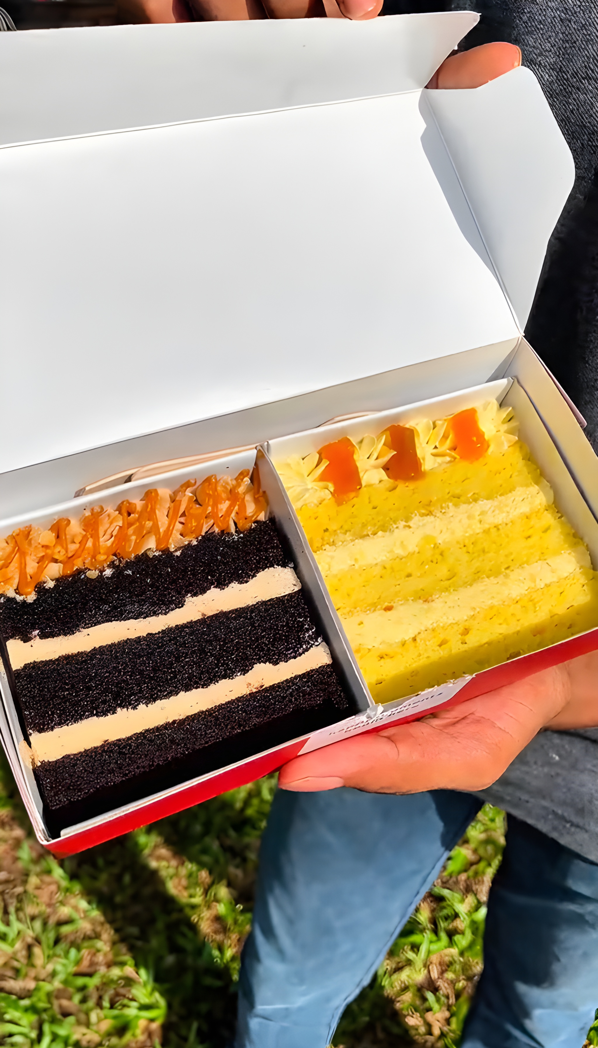 Premium Cake Variety Showcase – Coho Dessert Feature